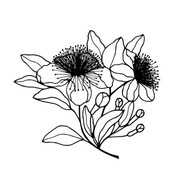 Güzel bir botanik arkaplanının vektör çizimi