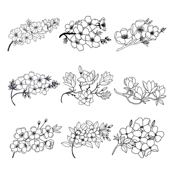 Set Hand Drawn Flowers Vector Illustration — Stock Vector