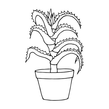 Aloe saksı bitkisi. Vektör hisse senedi çizimi E10. Özet, beyaz arkaplanda izole et.