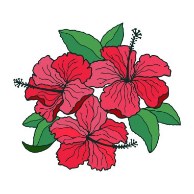 Hibiscus çiçekleri. Stock vektör illüstrasyonu eps10, ana hatlı el çizimi.