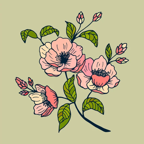 Flores Camellia Sasanqua Ilustração Vetor Estoque Eps10 Esboço Desenho Mão —  Vetores de Stock