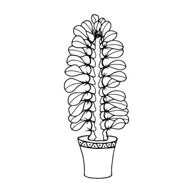 bitki ikonu. Kaktüs vektörünün taslağı. beyaz arkaplanda izole