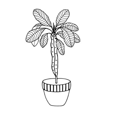 Yapraklı bitki vektör illüstrasyon tasarımı