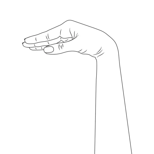 Hand Finger White Background — Stock Vector