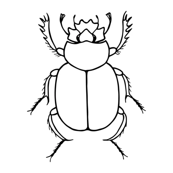 Vector Ilustración Icono Insecto — Vector de stock
