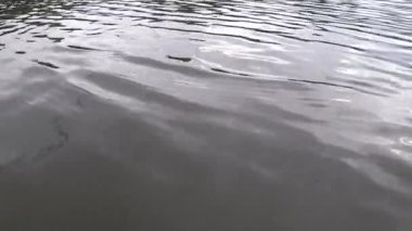Karanlık doğa suyu, dalga gölü. Rüzgarlı hava. 