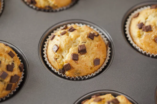 Versgebakken muffins — Stockfoto