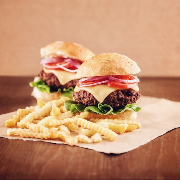 Burger de brânză la sol cu cartofi prăjiți — Fotografie, imagine de stoc