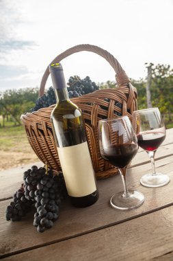 Şarap ve üzüm üzüm