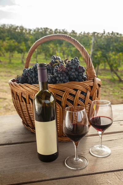 Вино и виноград в винограднике — стоковое фото