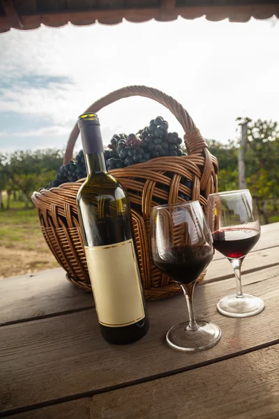Vinho e uvas na vinha — Fotografia de Stock
