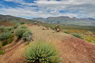 Kırmızı-sarı çöl tepelerinde büyüyen yeşil çalılar. Mars dağları