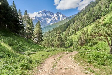 Dağlarda, yeşil çayırlarla bir dağ nehri arasındaki yol. Karla kaplı dağ zirveleri