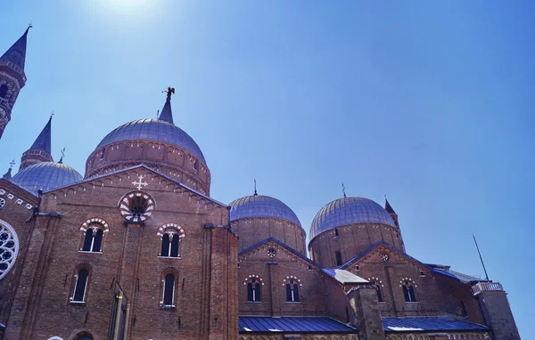 Basilica del Santo, Πάδοβα, Ιταλία — Φωτογραφία Αρχείου