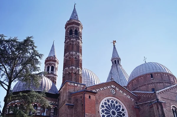 Detalhe da Basílica de Santo, Pádua, Itália — Fotografia de Stock