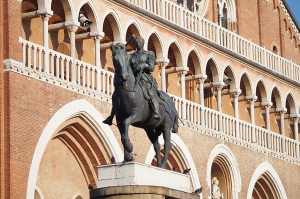 Rid-staty av Gattamelataand Basilica del Santo i Padua, Italien — Stockfoto