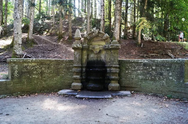 Monumental Fontän Skogen Vallombrosa Toscana Italien — Stockfoto