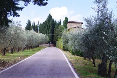 Greve in Chianti ve Montefioralle arasındaki yol, Toskana, İtalya