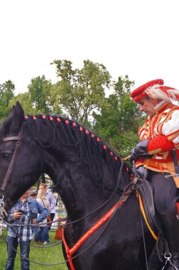 Floransa 'daki Carnasciale oyunlarında Rönesans Şövalyesi