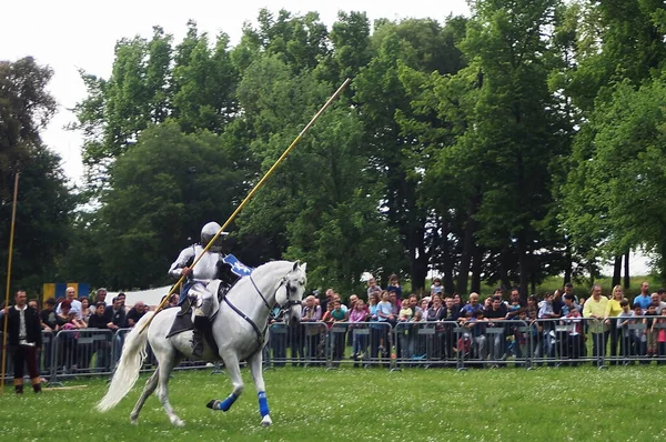 Mittelalterliches Turnier Bei Den Carnasciale Spielen Florenz — Stockfoto