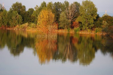 Parco dei Renai Gölü, Toskana, İtalya