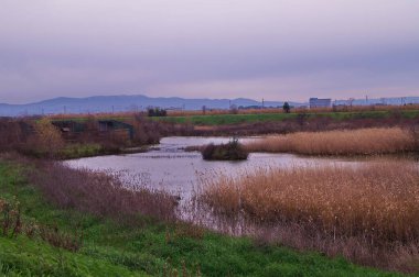 Kışın Sesto Fiorentino, Toskana, İtalya 'daki Piana Parkı' nda