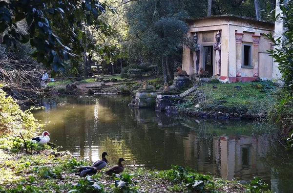 Stagno Tempio Egizio Nel Parco Villa Stibbert Firenze — Foto Stock