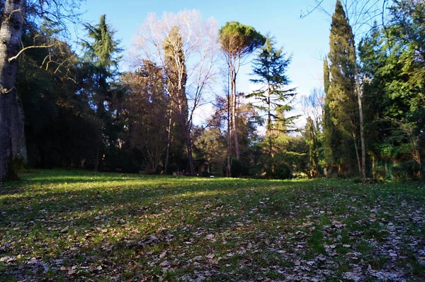 Villa Stibbert Parkı Floransa Talya — Stok fotoğraf