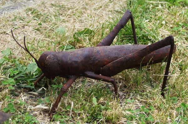 Sculpture Representing Wrought Iron Grasshopper — Stock Photo, Image