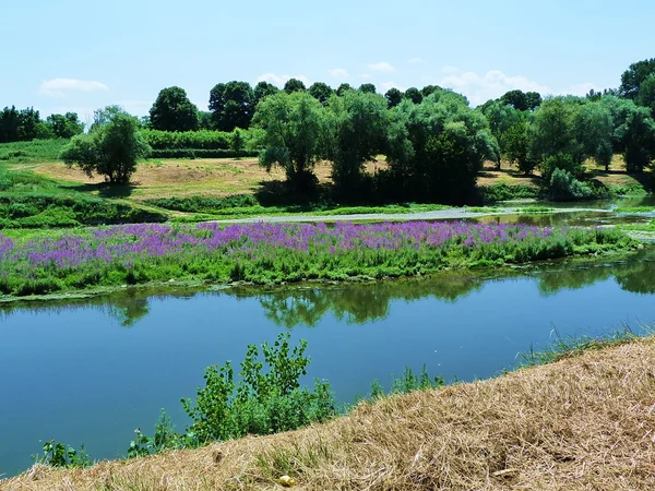 Arno řeka na severu Florencie, Itálie — Stock fotografie