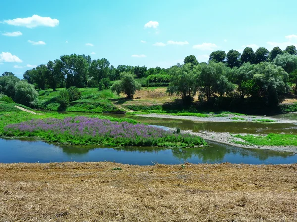 Arno řeka na severu Florencie, Itálie — Stock fotografie