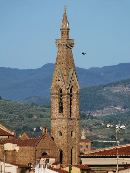 Harangtorony a templom a santa croce, Firenze, Olaszország — Stock Fotó