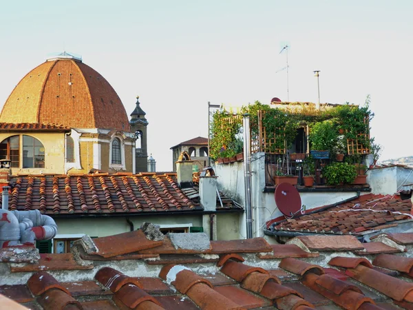 查看从佩里 medicce，佛罗伦萨，意大利的屋顶 — 图库照片