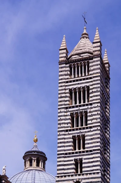 Çan kulesi Siena Katedrali, Toskana, İtalya — Stok fotoğraf