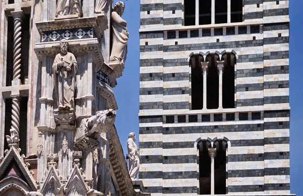 Detalle de la Catedral de Siena en Toscana, Italia —  Fotos de Stock