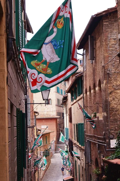 Palio Siena, İtalya'nın eski sokaklarında kaz Contrada tarafından kazanmak için kutlamalar
