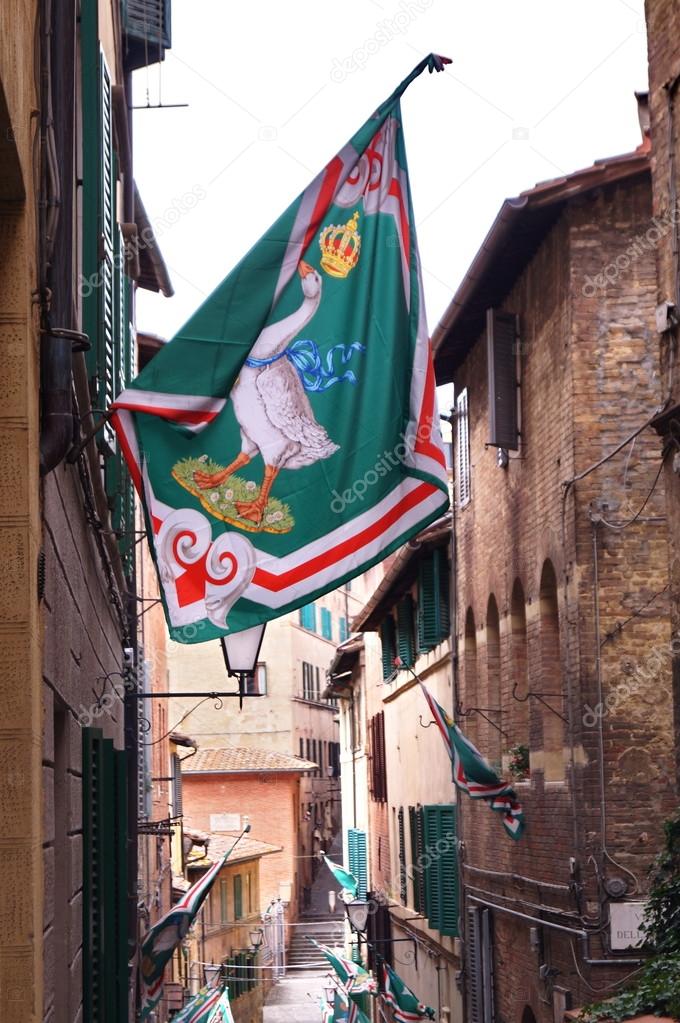 Celebrations for winning the Palio by the Contrada of the Goose in the ancient streets of Siena, Italy