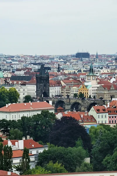 Вид сверху с замка Рхе, Чехия — стоковое фото