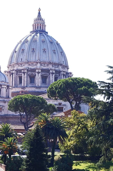 Pohled z Vatikánské muzeum dóm Saint Peters baziliky, Řím, Itálie — Stock fotografie