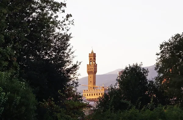 Utsikt över Palazzo Vecchio Florens Italien — Stockfoto