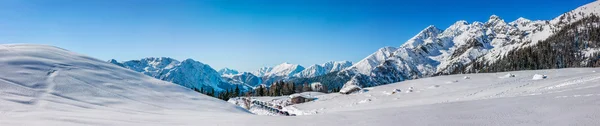 Panoramisch in de sneeuw Rechtenvrije Stockafbeeldingen