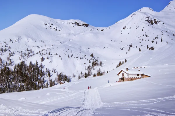 Passeggiata nella neve — Foto Stock