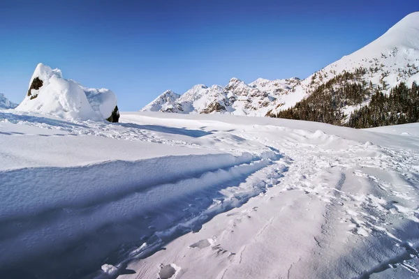 Excursion on the snowy paths — Stock Photo, Image