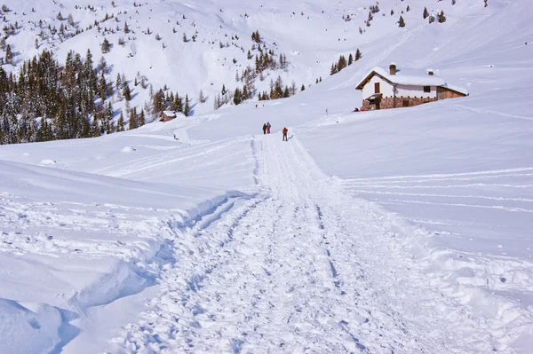 Wandelen in de sneeuw Rechtenvrije Stockfoto's