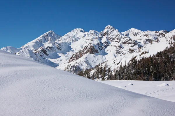 Alpine Landschaft — Stockfoto