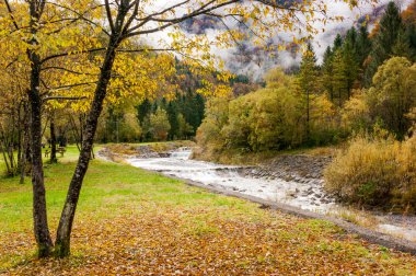 Dağ manzarası seyir kuru bir yatak üzerinde sonbahar yaprakları