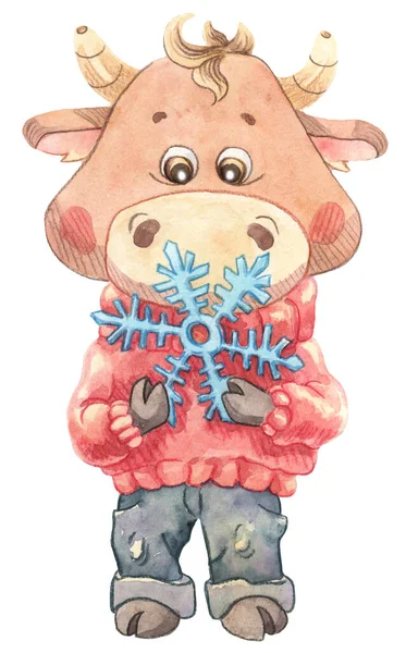 赤いセーターと青いジーンズの赤ちゃん牛が立っていると彼の手の中に大きな雪の結晶を保持 — ストック写真