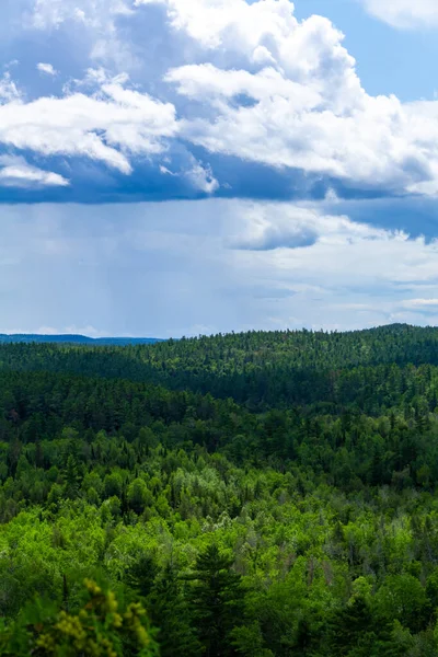 Paysage Orienté Verticalement Vastes Collines Couvertes Une Forêt Arbres Verts — Photo