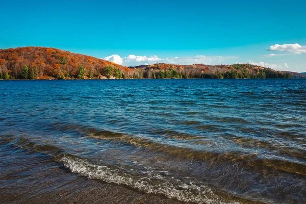 In the fall season, waves roll in on a beach at the edge of a blue lake. On the other side of the water, hills of evergreen trees and orange and yellow autumn leaves form a forest below bright sky.