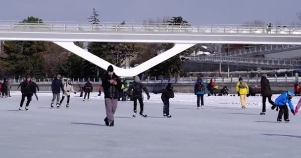 Ottawa Ontario Kanada Februar 2021 Eisläufer Genießen Den Rideau Canal — Stockvideo